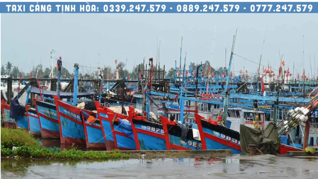 tàu neo đậu tránh bão tại cảng tịnh hòa, đặt xe tịnh hòa quảng ngãi