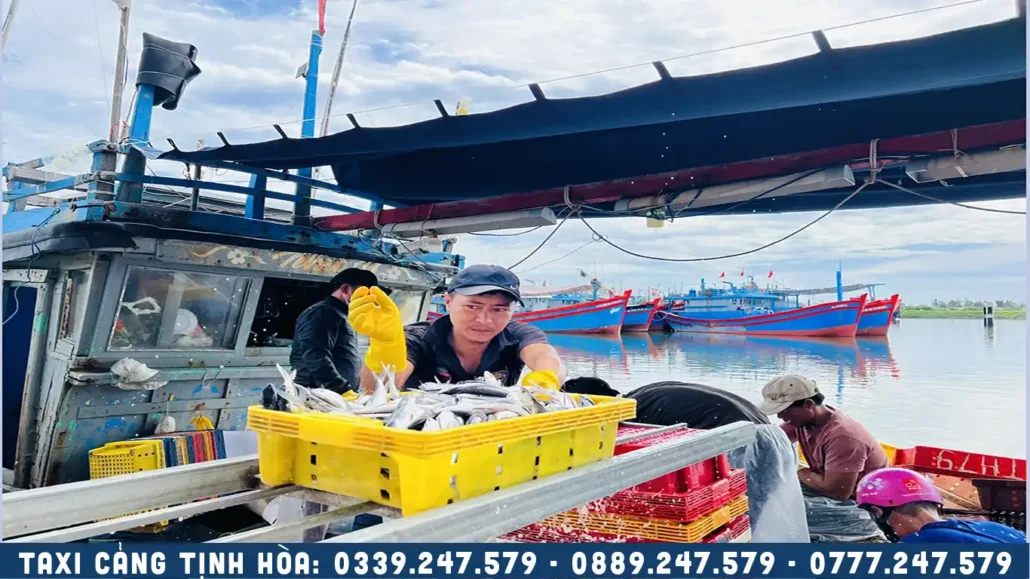 ngư dân đánh bắt cá đang cập bến cảng tịnh hòa quảng ngãi