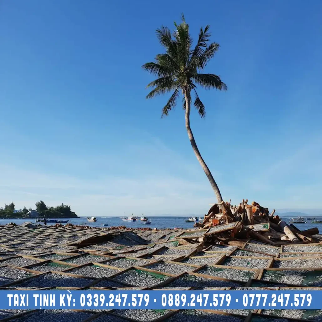 phơi cá cơm ở xã Tịnh Kỳ, xe Tịnh Kỳ Quảng Ngãi