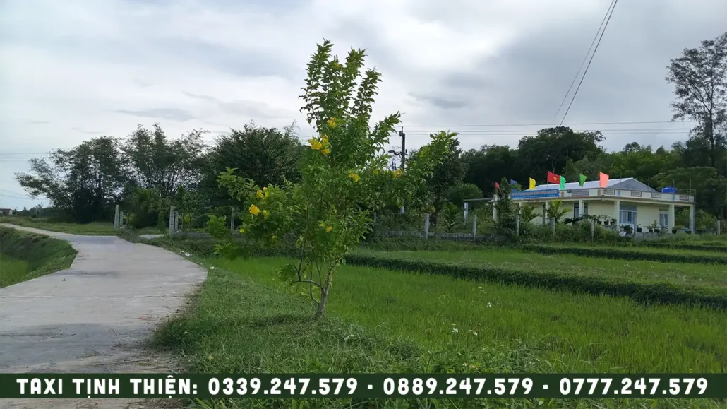 hợp tác xã nông nghiệp tại xã tịnh thiện. SĐT Taxi Tịnh Thiện