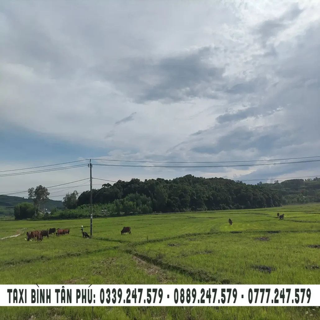 rừng nguyên sinh ở xã bình tân phú