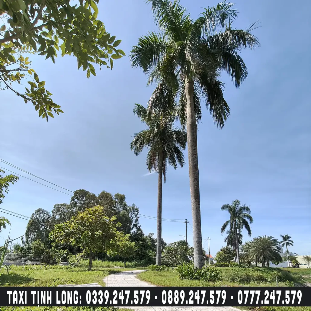 tăng long angkora park ở xã tịnh long quảng ngãi