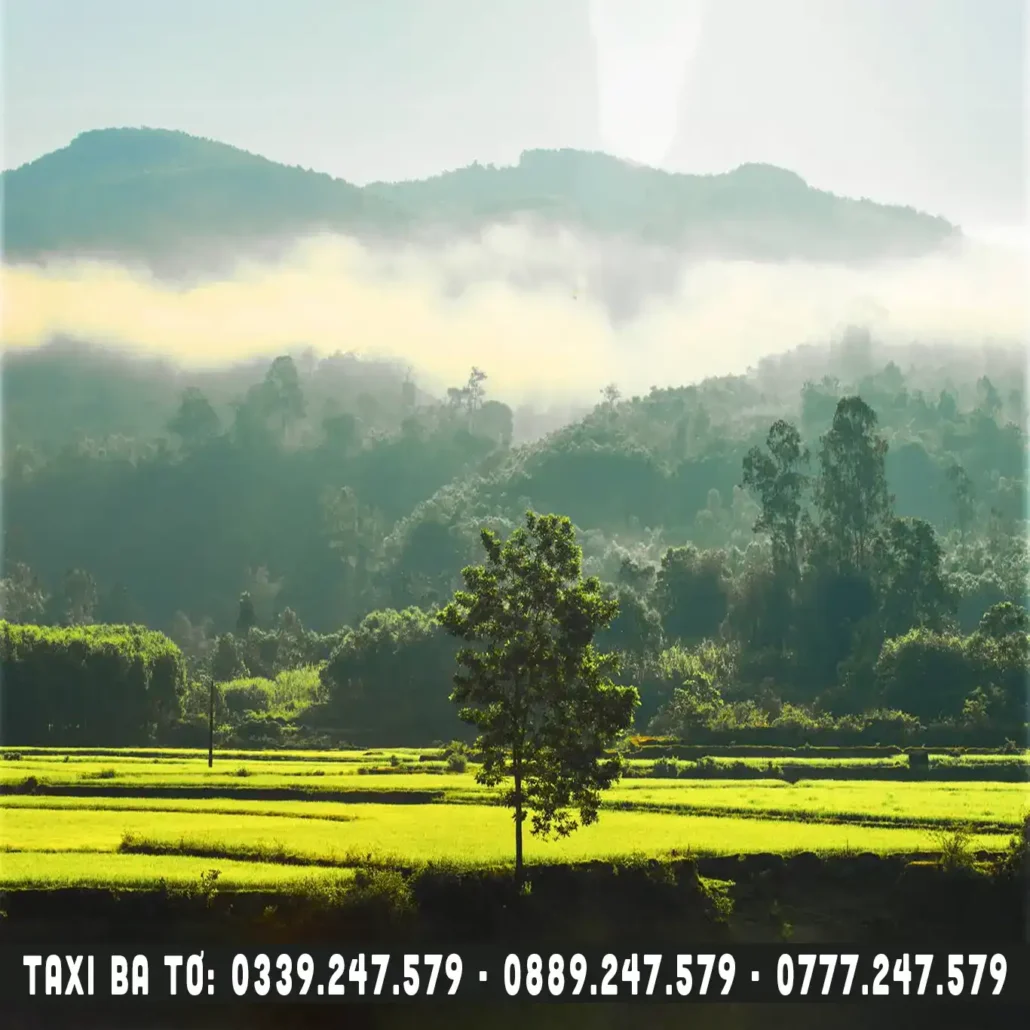 ba tơ quảng ngãi sau sáp nhập