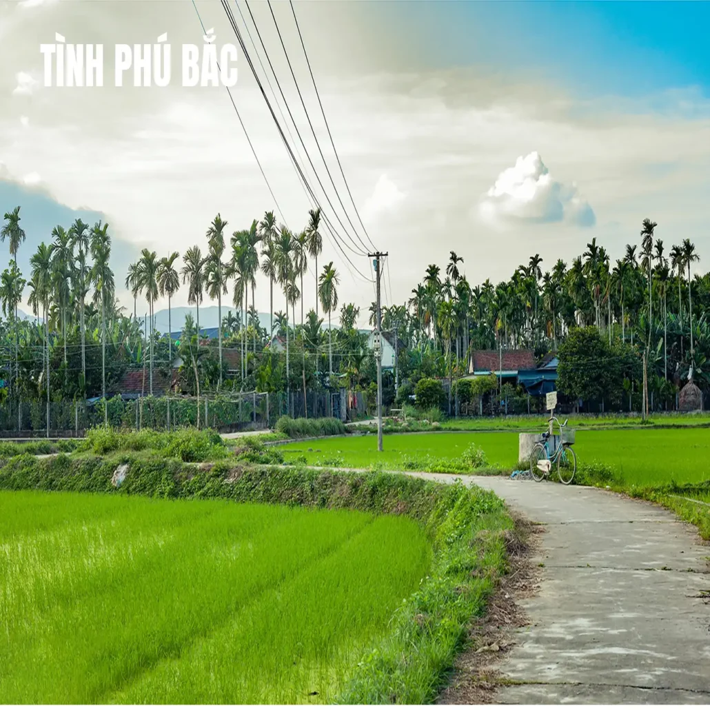 cần xe taxi nghĩa hành đi chu lai, thôn tình phú bắc 